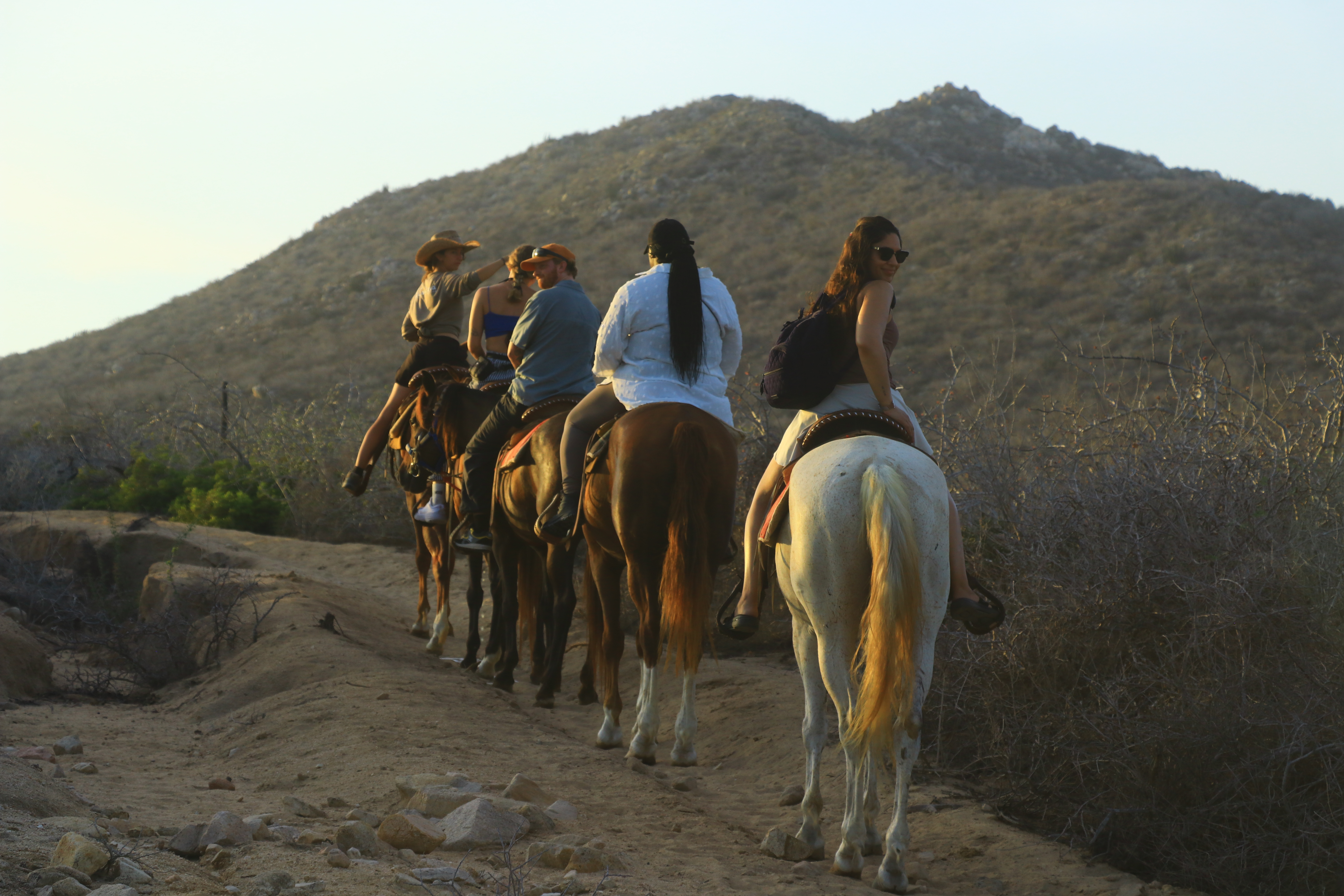 Encadrement d'excursion équestre et médiation environnementale sur la côte pacifique mexicaine