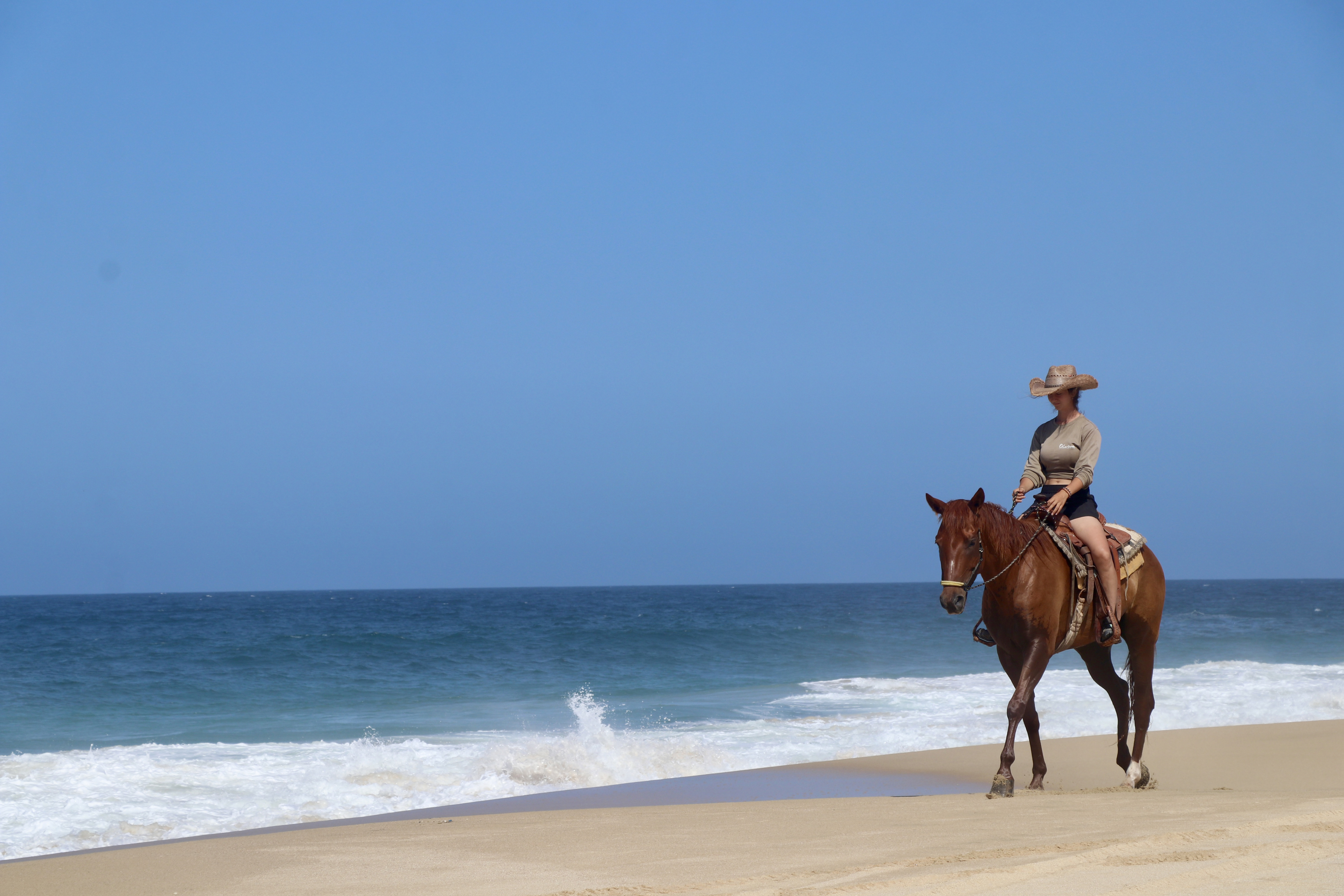 Horse tour guide